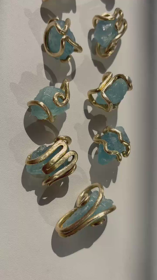 Twelve Zodiac collection
